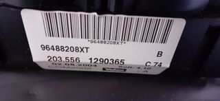 MANDO MULTIFUNCION CITROEN C3 (7)