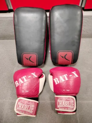 Paos y Guantes Boxeo Kick Boxing