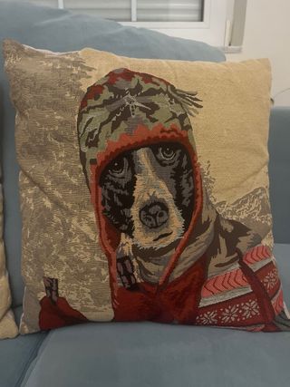 Cojines Rústicos Decorativos
