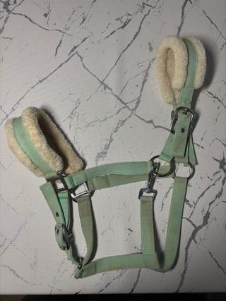 Cabezada para caballo talla Cob