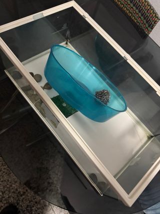 Acuario para tortugas, tortuguera