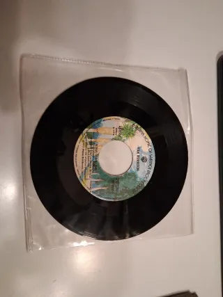 Van Morrison - Joyous Sound Single