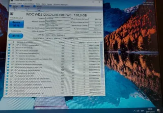 SSD M.2 2280 SATA 120GB WD GREEN