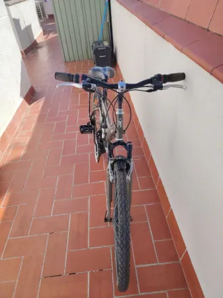 Bicicleta de montaña