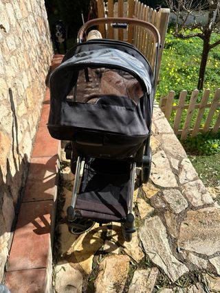 Cochecito Cybex Priam: Silla + Capazo