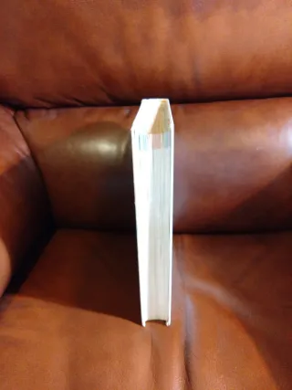 INTRODUCCIÓN AL ESTUDIO  DIFERENCIAS INDIVIDUALES