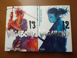 Vagabond 12