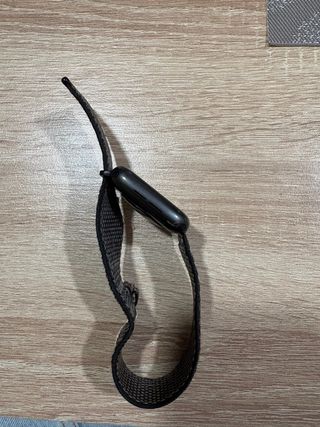 Apple Watch SE 2023 con Correa Loop