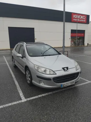 Peugeot 407 2006
