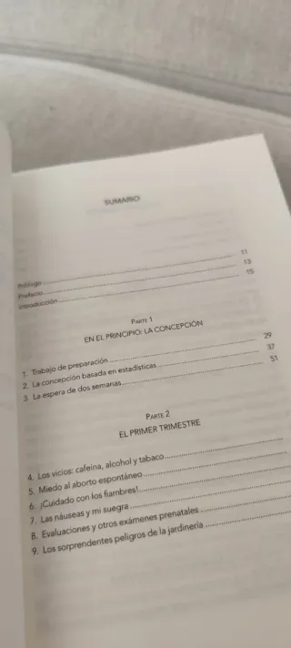NUEVO:El Embarazo No Es Como Te Lo Contaron