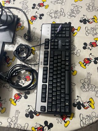 Monitor DELL y Teclado HP con Cables