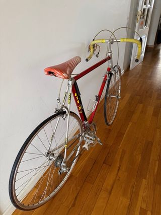 Bicicleta Vintus Vintage Vermelha