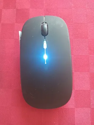 Mouse wireless con luci LED Nuovo