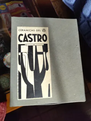 Juego café Castro porcelana años 70