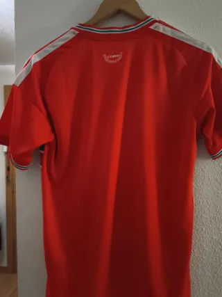 Camiseta Adidas Gales Mundial 2026