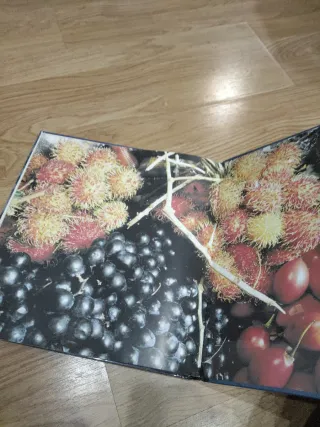 Los viajes del abuelo (Spanish Edition)