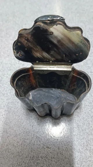 Caja Rapé Siglo XIX Cuerno y Plata