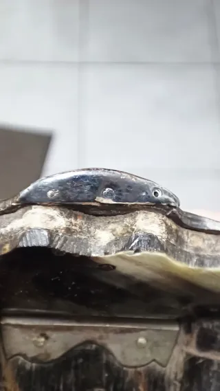 Caja Rapé Siglo XIX Cuerno y Plata