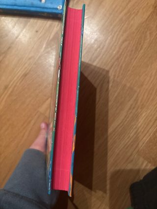 La Bahía de los Delfines