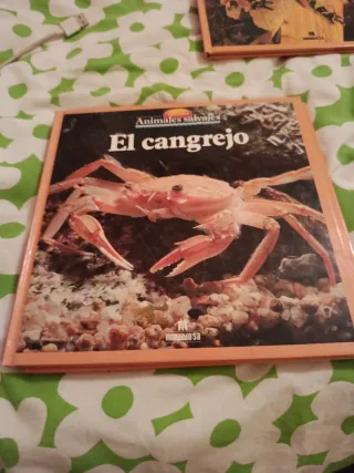Lote libros animales