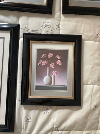 Conjunto de 5 Marcos/Cuadros