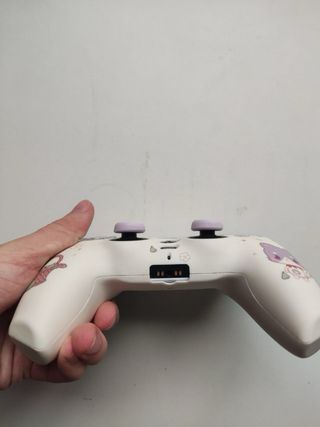 Mando PS5 Personalizado