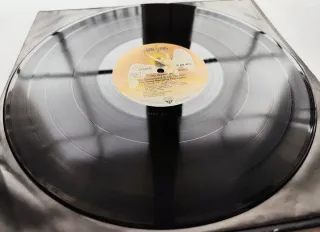 LP 1976 🇩🇪 LED ZEPPELIN - THE SONG REMAINS...