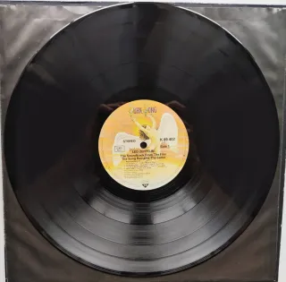 LP 1976 🇩🇪 LED ZEPPELIN - THE SONG REMAINS...