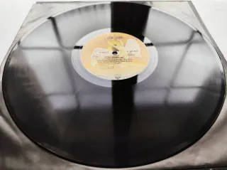 LP 1976 🇩🇪 LED ZEPPELIN - THE SONG REMAINS...