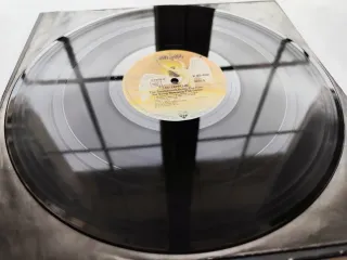 LP 1976 🇩🇪 LED ZEPPELIN - THE SONG REMAINS...