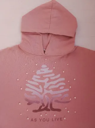 Sudadera Springfield Niña Rosa Perlas