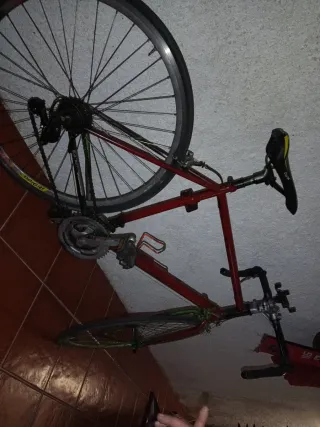 Bicicleta Vermelha e Verde