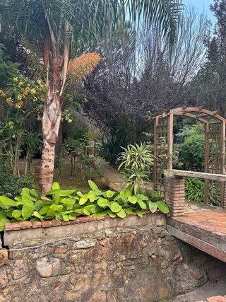 Casa rural en alquiler en Barrios (Los)