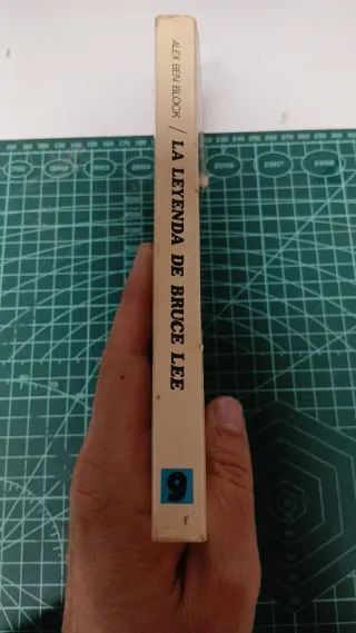 La leyenda de Bruce Lee