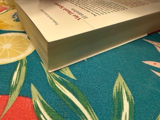 El idealista - Viet Thanh Nguyen