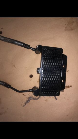 Radiador Aceite Benelli BN 125 (2022)