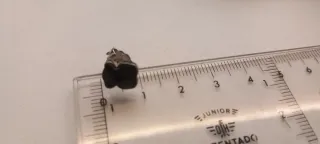 Pendientes Tous Oso Negro Plata ULTIMOS DIAS