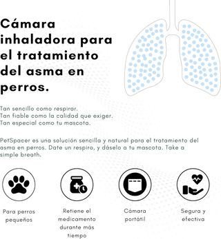 Cámara inhalador perro