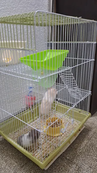 Jaula para hámsteres