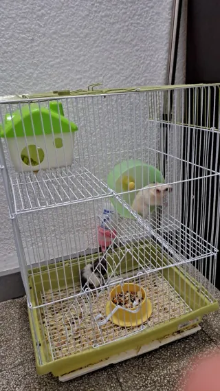 Jaula para hámsteres