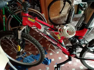 Mountain Bike Rossa