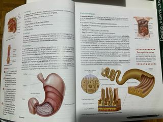 Biología y Geología 3º ESO. Libro del estudiant...