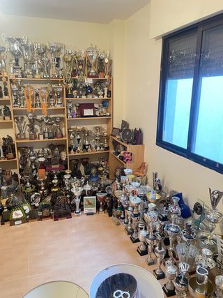 Lote de Trofeos Varios