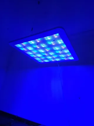 Ati Straton iluminacion led acuario marino dulce