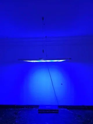 Ati Straton iluminacion led acuario marino dulce