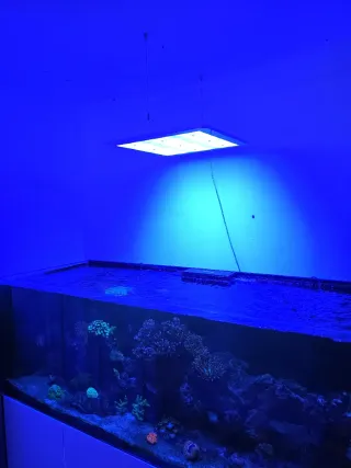 Ati Straton iluminacion led acuario marino dulce