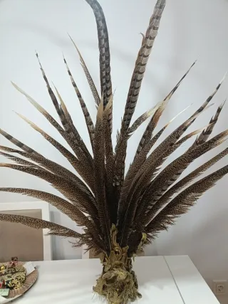 Tocado Plumas Carnaval Dorado con madera