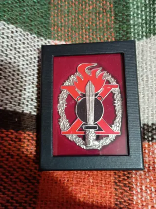 Distintivi militari fregi