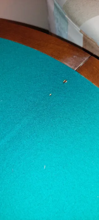 Mesa de juego plegable de madera