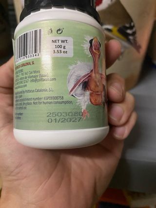 Papilla Serinus embuchar pichones pollitos canario